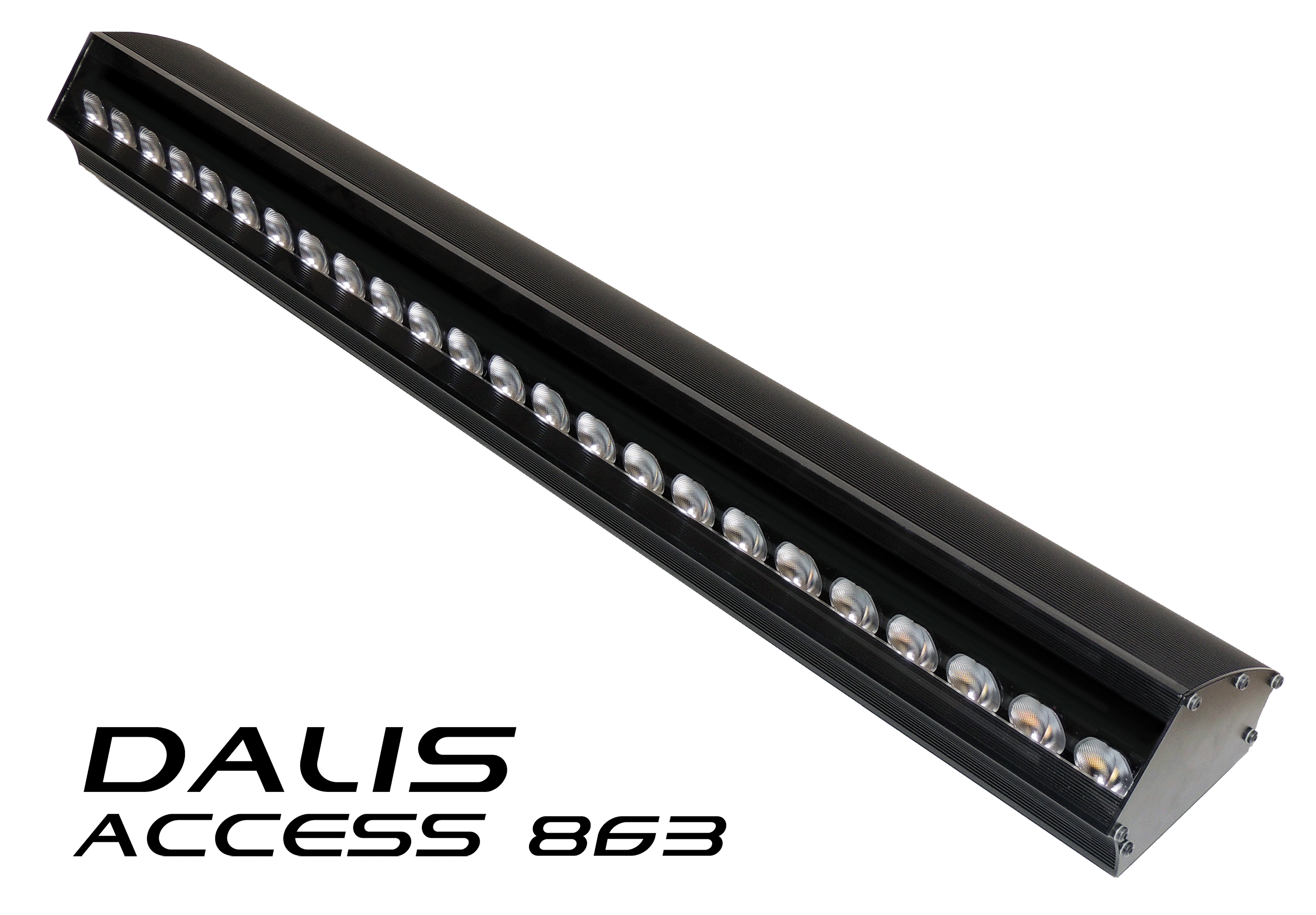 Dalis Access 863