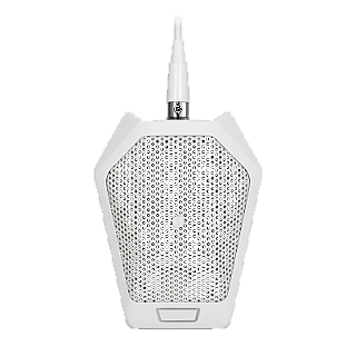 U891Rb image 1