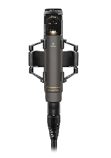 MKH 800 Twin Nickel image 1