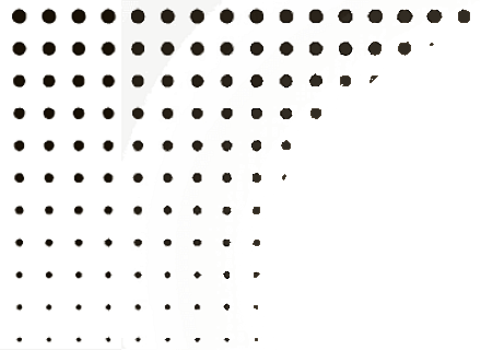 RH101 image 1