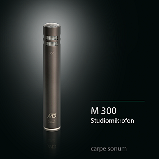 M 300 image 1