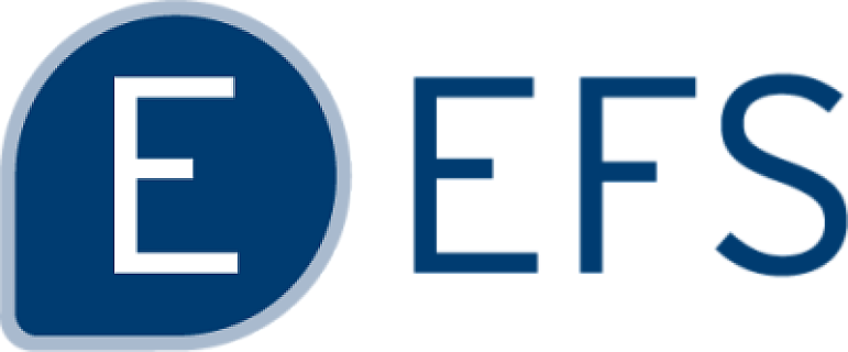 Ultimate EFS NVMe Lite image 1