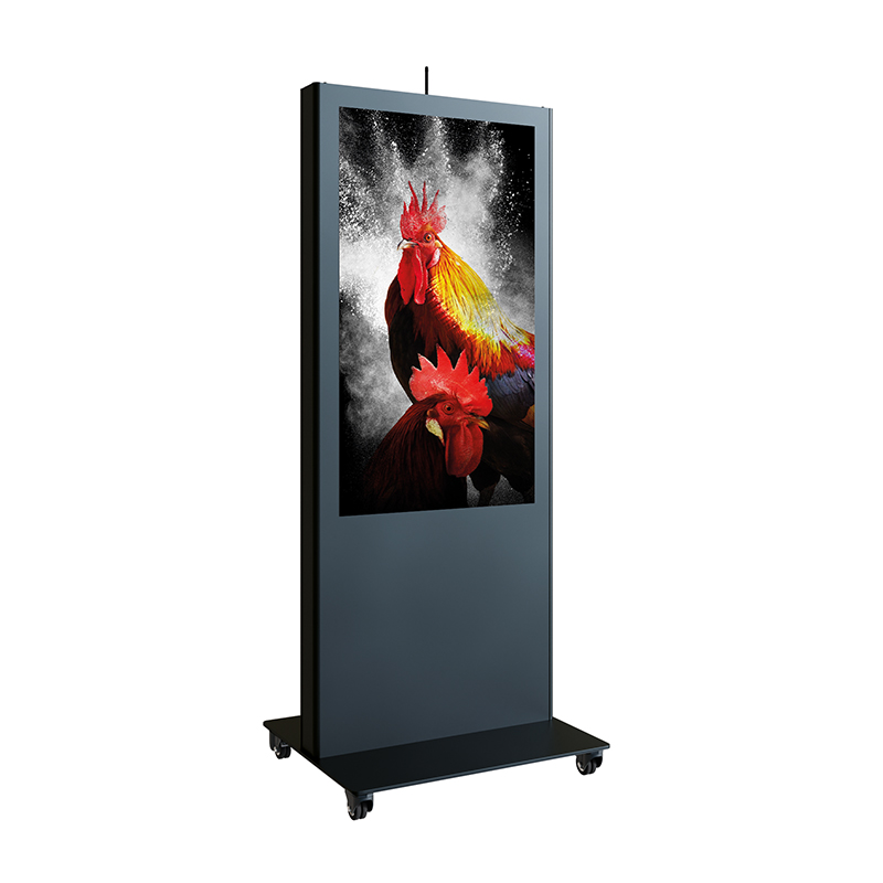 vis-it portrait 49 – 55"