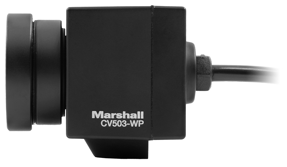 CV503-WP