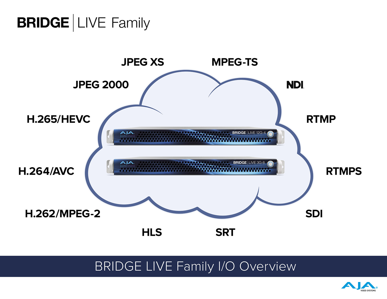 BRIDGE LIVE 12G-4