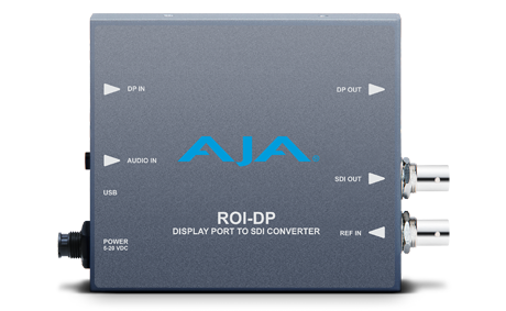 ROI-DP