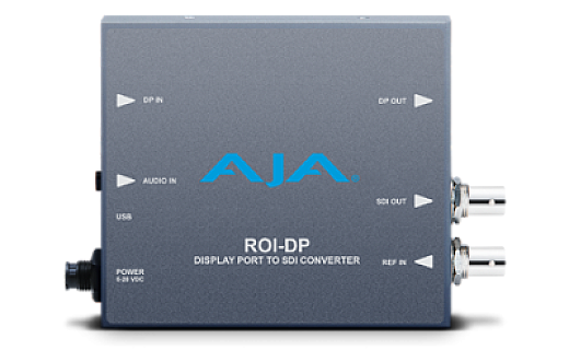 ROI-DP image 1