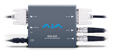 ROI-DVI