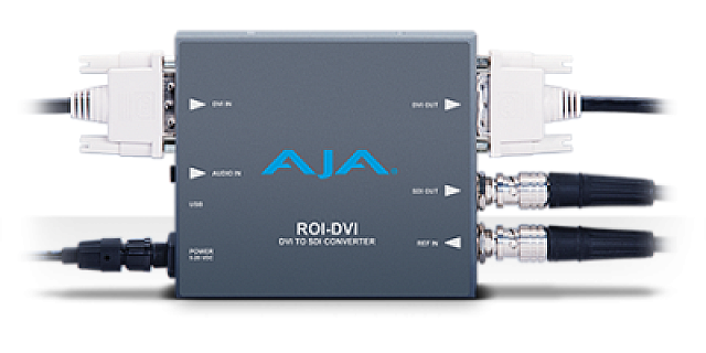 ROI-DVI image 1
