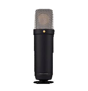 NT1 5th Generation - Black image 1