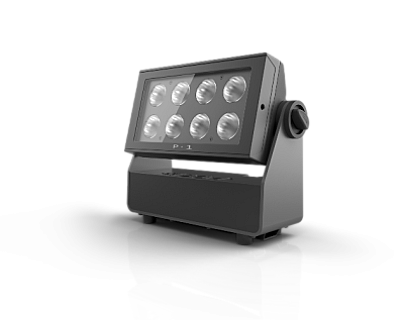 P·1 image 1