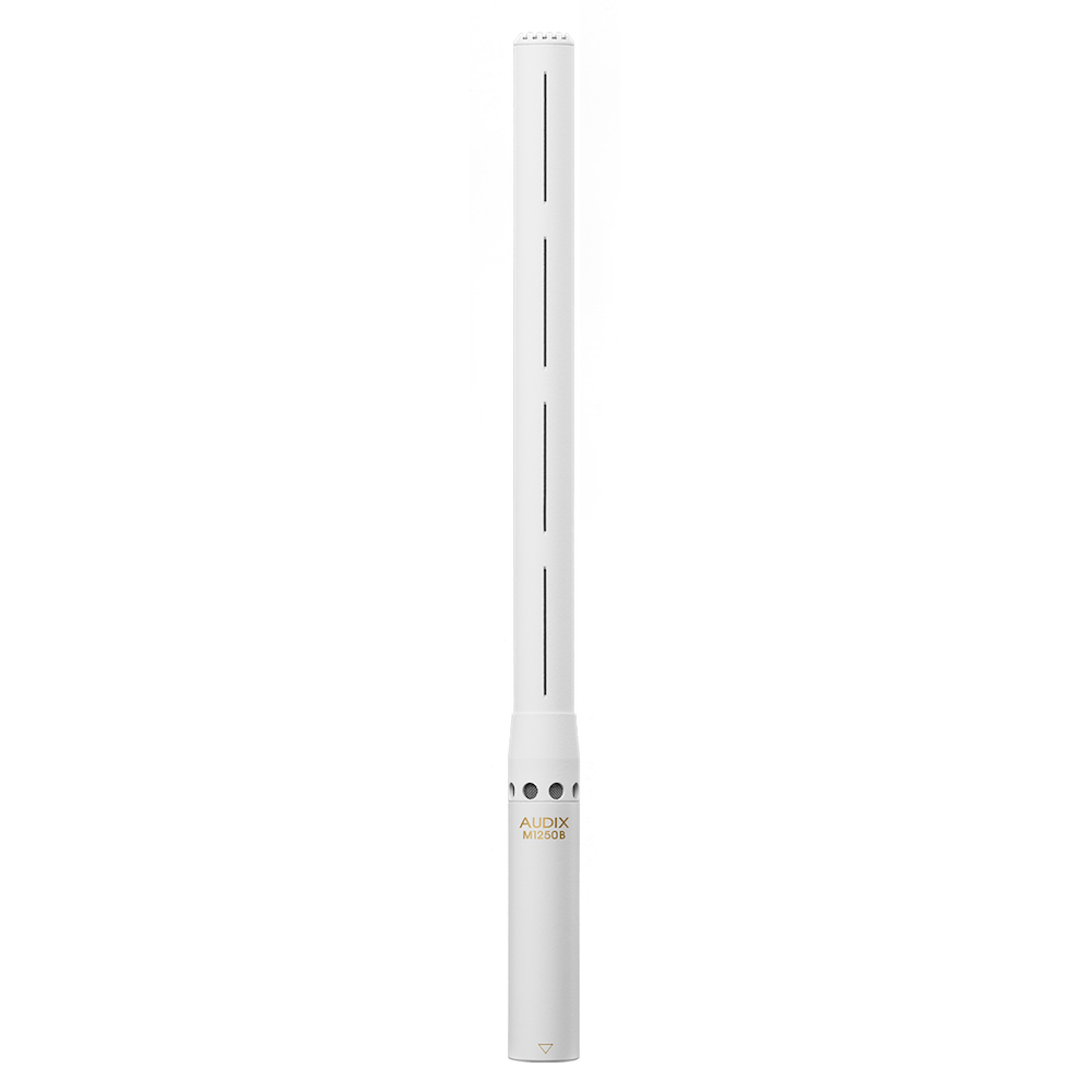 AX M1250BS