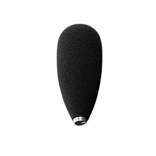 TM1 image 1