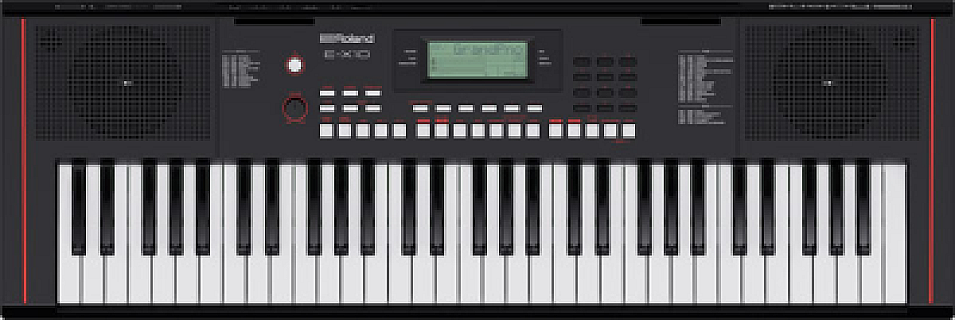 E-X10 image 1
