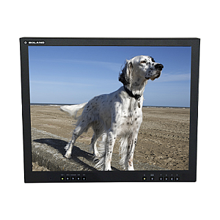 d150L image 1