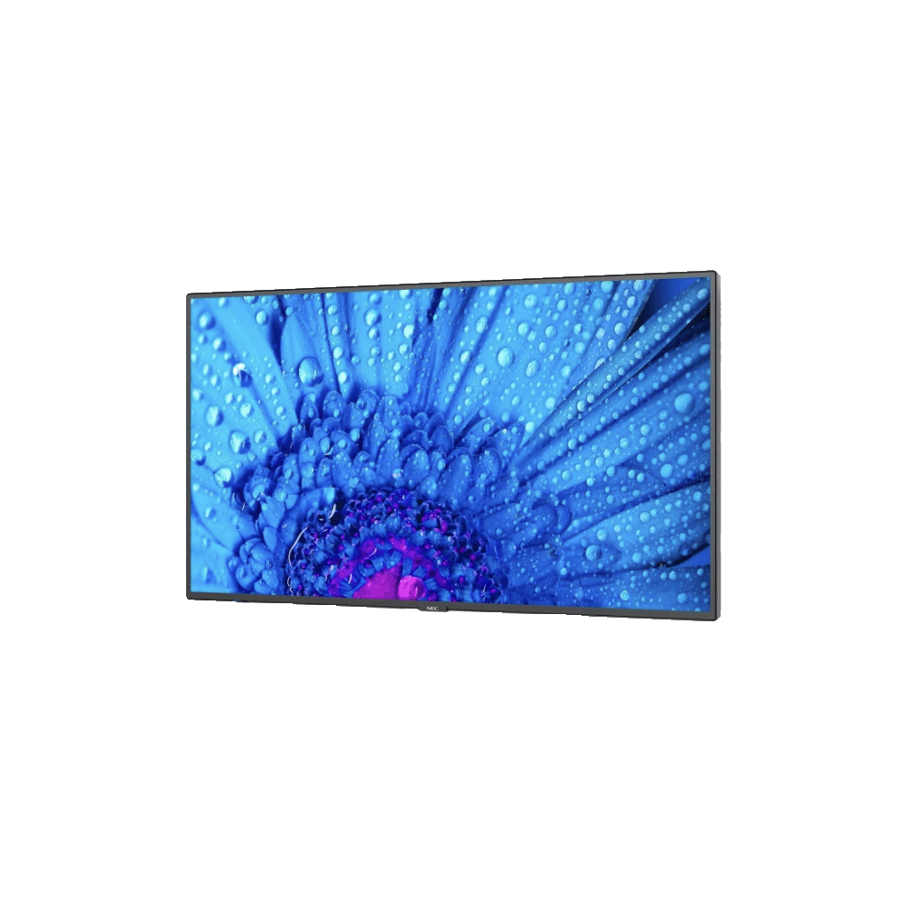M551 55" Display,