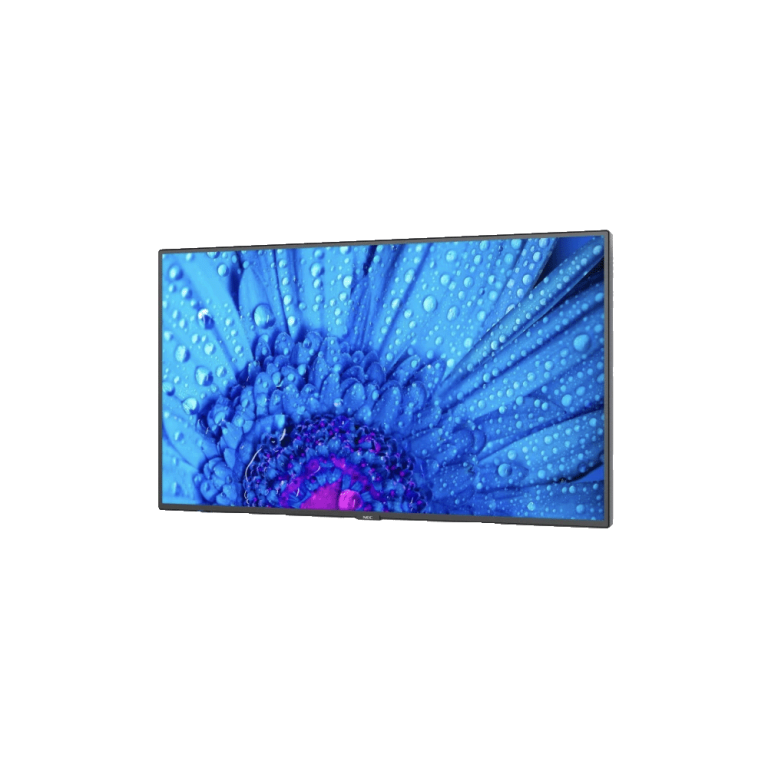 M651 65" Display,