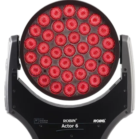 ROBIN Actor 6