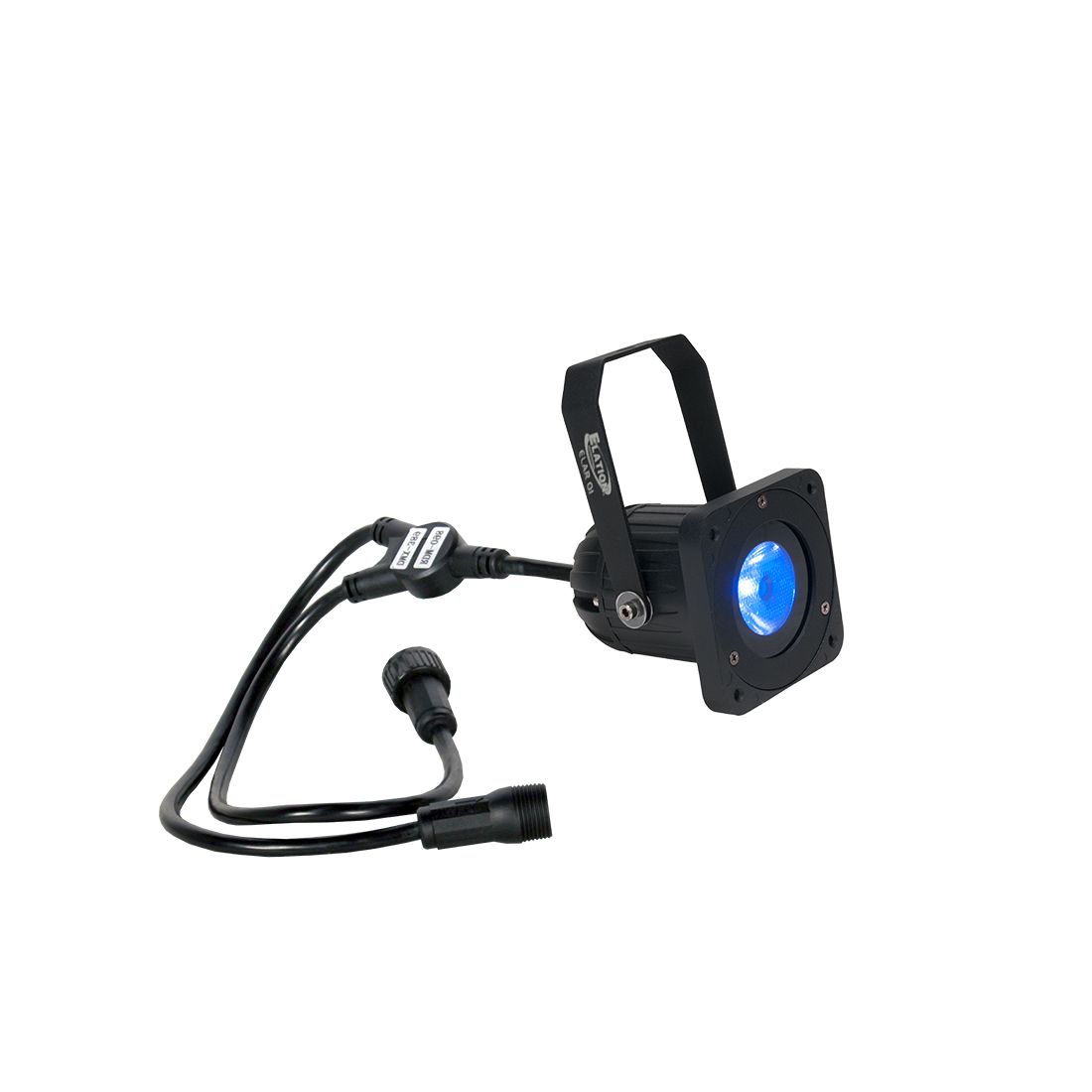 ELAR Q1
