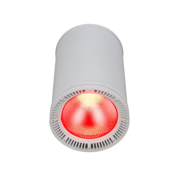 FUZE PENDANT (HW)