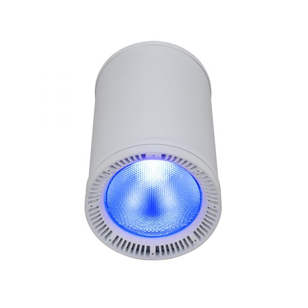 Fuze Pendant Compact