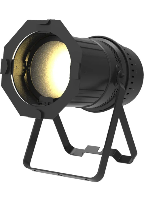 VL800 EVENTPAR WW