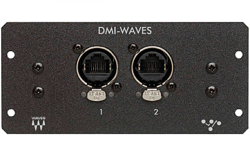 DMI-WAVES image 1
