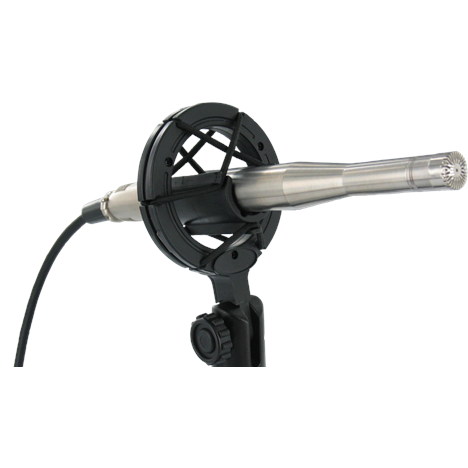 AFM1