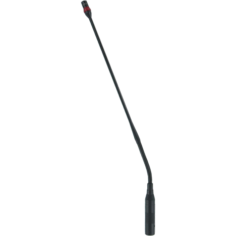 PL19