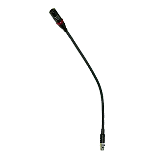 PL38 image 1